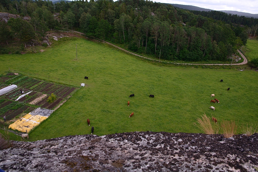 Odlingslandet vid Borgås, Bokenäs, placerat i en beteshage.