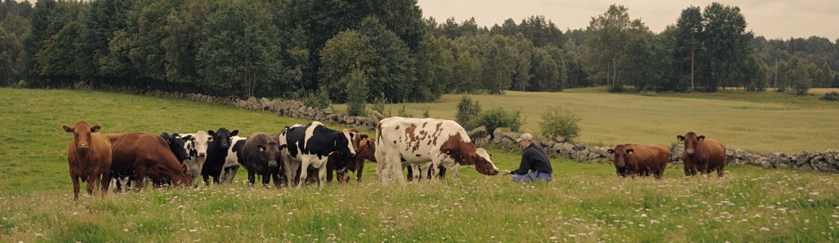 Jörgen Holmberg med kor