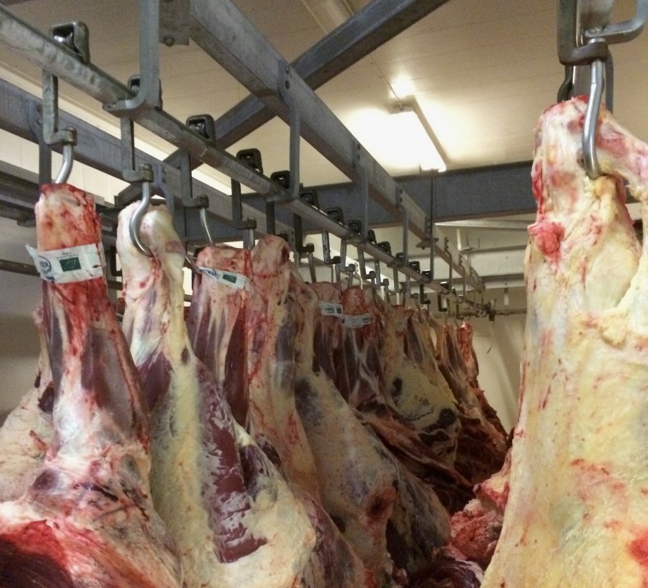 2014-06-16 16.50.33 kopia